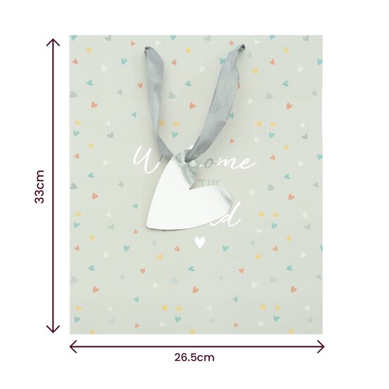 Welcome to the World Gift Bag 26.5cm x 33cm image number 4