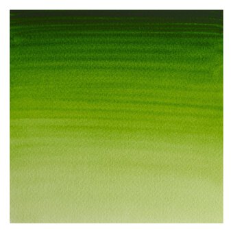 Winsor & Newton Permanent Sap Green Professional Watercolour Tube 5ml