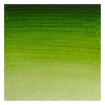 Winsor & Newton Permanent Sap Green Professional Watercolour Tube 5ml image number 2