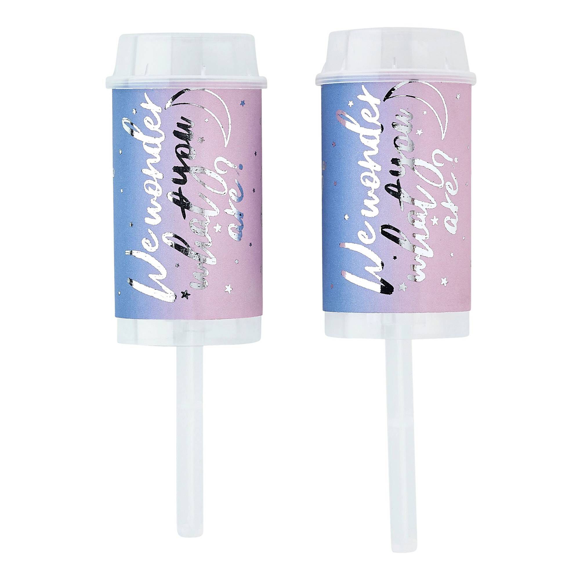 Pink and Blue Gender Reveal Push Pops 2 Pack Hobbycraft