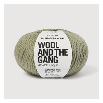 Wool and the Gang Eucalyptus Green Lil&rsquo; Alpachino Merino 50g