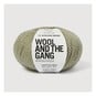 Wool and the Gang Eucalyptus Green Lil&rsquo; Alpachino Merino 50g image number 2