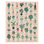 Ridley’s House Plants Jigsaw Puzzle 1000 Pieces  image number 2