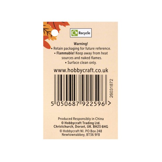 White Borg Pumpkin 4 Pack Bundle image number 7