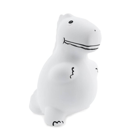 Paint Your Own Dinosaur Money Box image number 1