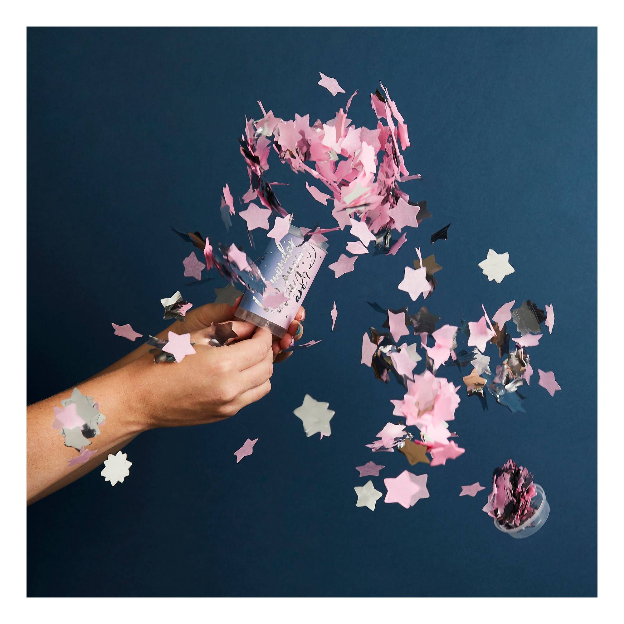 Pink and Blue Gender Reveal Push Pops 2 Pack Hobbycraft