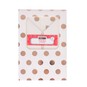 Rose Gold Polka Dot Treat Boxes 6 Inches 2 Pack image number 4