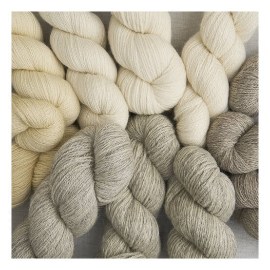 Bramble & Fleece Origin No. 008 Corriedale Fine 100g image number 3
