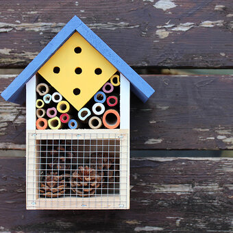 How to Decorate an Insect Hotel