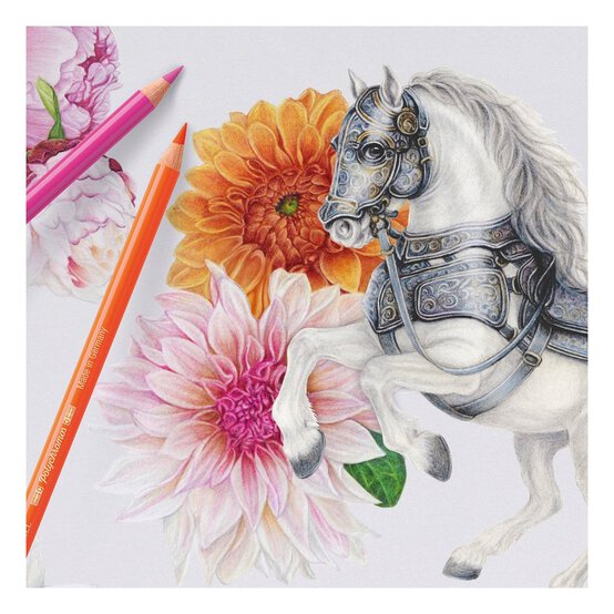 Faber-Castell Polychromos Artists' Colour Pencils 20 Pack image number 3