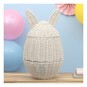 Bunny Rope Storage Basket with Lid image number 1