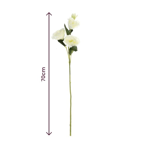 White Lisianthus Stem 70cm image number 4