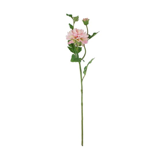 Light Pink Tintagel Dahlia Spray 69cm x 15cm image number 1