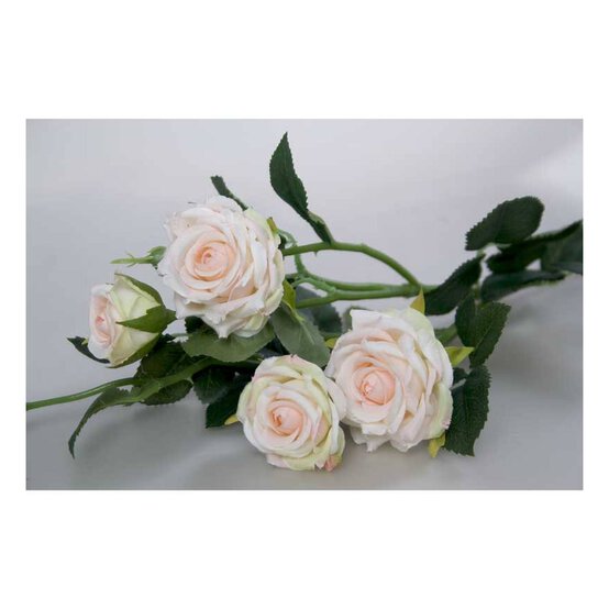 Champagne Camelot Garden Rose Spray 72cm x 13cm image number 2