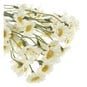 White Daisy Spray 26cm image number 3