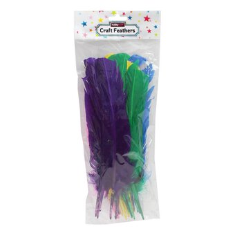Assorted American Style Feathers 9 Pack