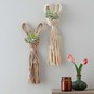 How to Make Macrame Bunny Plant Pods image number 1