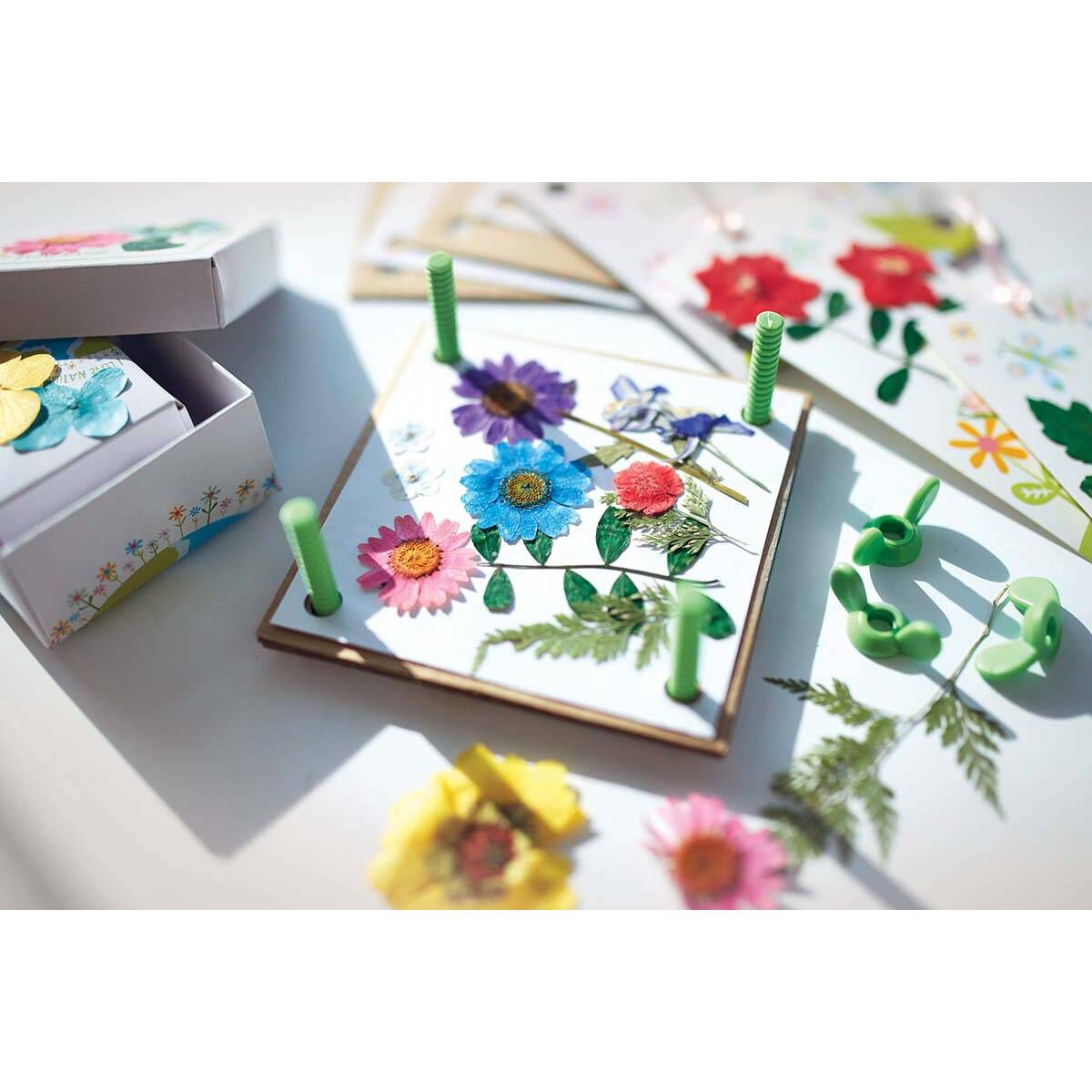 Pressed Flower Art Hobbycraft