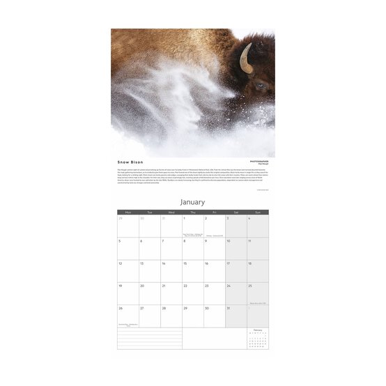 Wildlife Photographer of the Year Wall Calendar 2026 image number 2