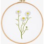 FREE PATTERN DMC Camomile Embroidery 0321 image number 3