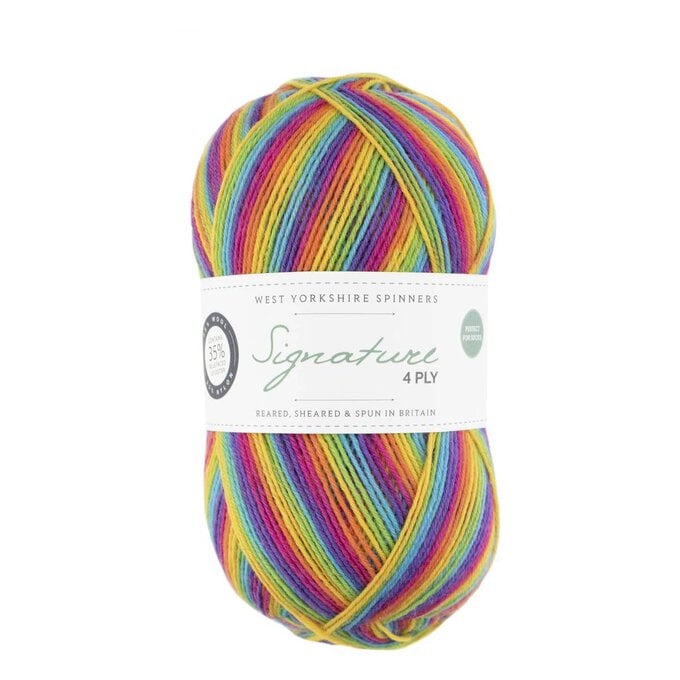 West Yorkshire Spinners Rum Paradise Signature 4 Ply Yarn 100g image number 1