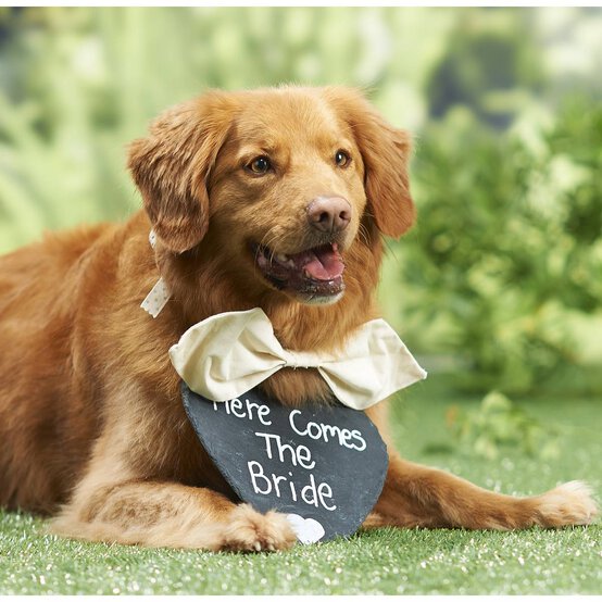 Chalkboard Hanging Heart Decoration 15cm image number 3