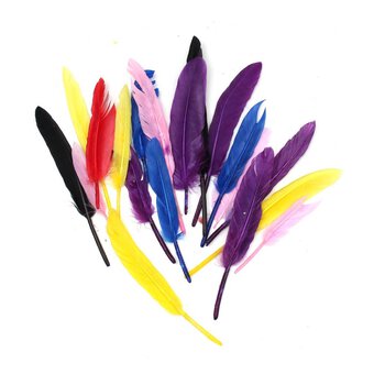 Assorted Feather Quills 3g