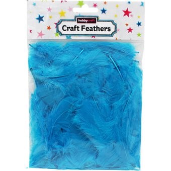 Turquoise Craft Feathers 5g image number 3