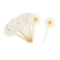 Daisy Cupcake Toppers 15 Pack image number 3
