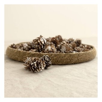 Small Pinecones 110g
