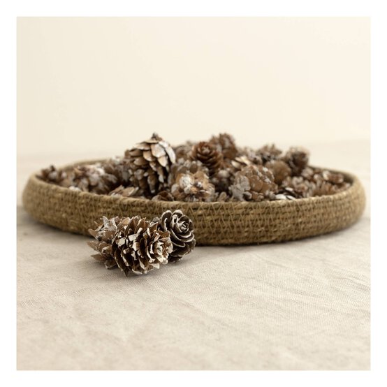 Small Pinecones 110g image number 1