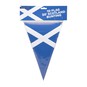 Scotland Flag Bunting 5m image number 1