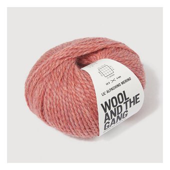 Wool and the Gang Rocksalt Red Lil&rsquo; Alpachino Merino 50g 