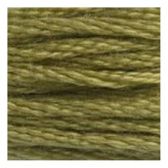 DMC Green Mouline Special 25 Cotton Thread 8m (370)