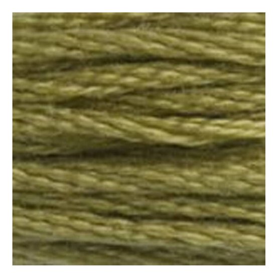 DMC Green Mouline Special 25 Cotton Thread 8m (370) image number 2