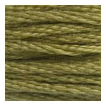 DMC Green Mouline Special 25 Cotton Thread 8m (370) image number 2