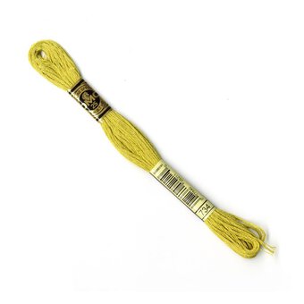 DMC Green Mouline Special 25 Cotton Thread 8m (734)