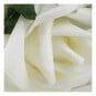 Cream Wired Rose Heads 20 Pack image number 2