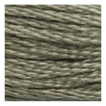 DMC Green Mouline Special 25 Cotton Thread 8m (3022) image number 2