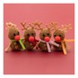 Reindeer Embellishments 4 Pack  image number 1