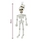 Hanging Skeleton Decoration 35cm image number 4