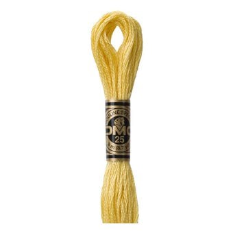 DMC Yellow Mouline Special 25 Cotton Thread 8m (3822)