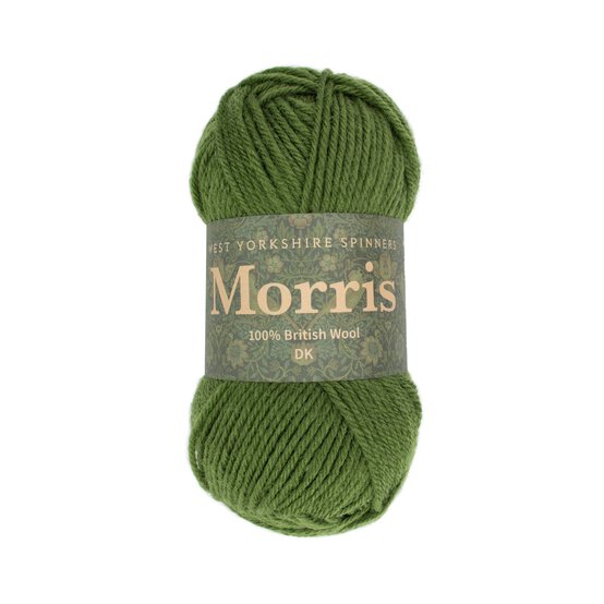 West Yorkshire Spinners Yew Morris DK 50g image number 1