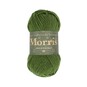 West Yorkshire Spinners Yew Morris DK 50g image number 1