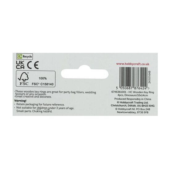 Dinosaur Wooden Keyrings 4 Pack  image number 5