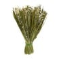 Sage Green Natural Dried Sheaf 30cm image number 1