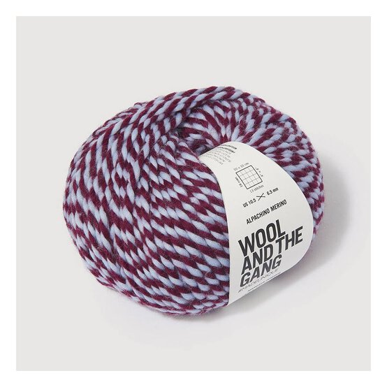 Wool and the Gang Margaux Powder Alpachino Merino Twist 100g  image number 2