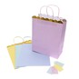 Pastel Gift Bag with Gold Scalloped Edge 4 Pack image number 1