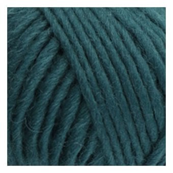 West Yorkshire Spinners Ponder Retreat Yarn 100g image number 2