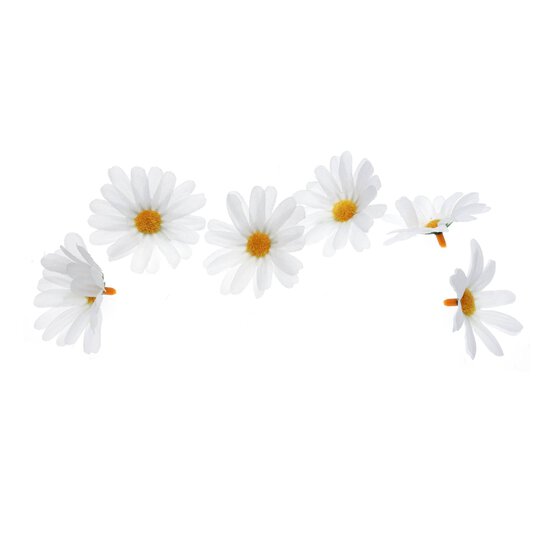 Daisy Heads 12 Pack image number 3